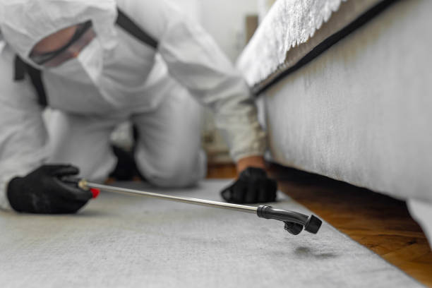Professional Rodent Control technician working in Buzzards Bay, MA