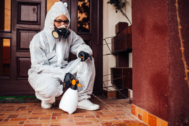 Reliable Rodent Control contractor in Buzzards Bay, MA by Nex Pest Control