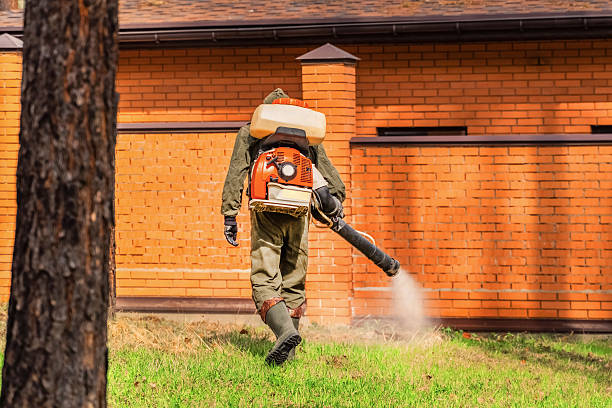 Top rated local Rodent Control specialists in Buzzards Bay, MA